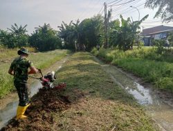 Giatkan Ketahanan Pangan Melalui Urban Farming, Koramil 03/Telukpucung Buka Lahan Tanaman Cabe dan Bawang Merah