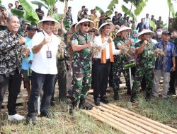 Mentan RI dan Kasad Panen Raya Bawang Merah di Wilayah Kodam Jaya