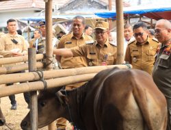 Pastikan Hewan Qurban Dalam Keadaan Sehat, Pj. Wali Kota Bekasi Monitoring Langsung Lapak Distribusi Hewan Qurban