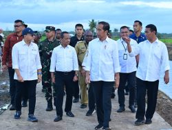Panglima TNI Dampingi Presiden RI Tinjau Hanpangan Nasional di Merauke, Papua Selatan