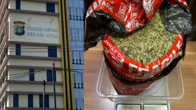 Sat Resnarkoba Polres Metro Bekasi Kota Berhasil Mengamankan 2 Pengedar, Sita Total 1,567 Gram Ganja dan Sabu