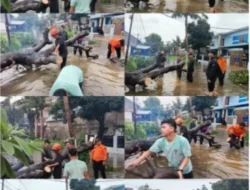 Hujan Deras di Wilayah Kota Bekasi Menyebabkan Sejumlah Titik Mengalami Banjir dan Pohon Tumbang