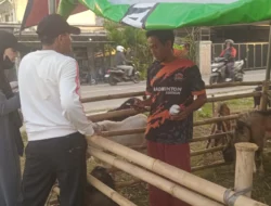 Jelang Idul Adha, Lapak Penjualan Kambing di Bekasi Jaya Tawarkan Harga Mulai Rp2,5 Juta