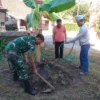 Babinsa Ngadri Bersama Warga Gelar Penghijauan, Tanam Pohon Durian dan Nangka
