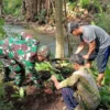 Lestarikan Lingkungan, Serda Budiono Bersama Poktan Sidodadi Tanam Pohon Melalui Aksi Bersatu Dengan Alam