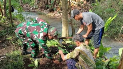 Lestarikan Lingkungan, Serda Budiono Bersama Poktan Sidodadi Tanam Pohon Melalui Aksi Bersatu Dengan Alam