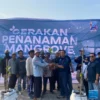HUT ke-14, IWO Pusat dan Daerah Tanam Ribuan Mangrove di Tanjung Pasir