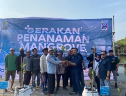 HUT ke-14, IWO Pusat dan Daerah Tanam Ribuan Mangrove di Tanjung Pasir