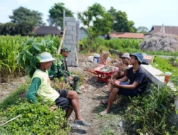 Dukung Ketahanan Pangan, Serka Anton Ady Gelar Komsos Persiapan Panen Jagung Bersama Poktan Rahayu