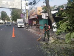 Antisipasi Pohon Tumbang Di Musim Pancaroba, Babinsa Sukorejo Bersinergi Dengan DLH Kota Blitar