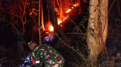 Aksi Sigap Babinsa Dan Warga Padamkan Kebakaran Hutan Jati Di Pagerwojo Blitar