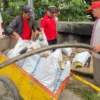 Serap Aspirasi Masyarakat, Ranting PDI Perjuangan Harapan Mulya Gelar Kerja Bakti Bersama Warga