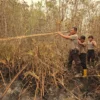 Satbrimob Polda Kalteng Terus Lakukan Pembasahan Karhutla di Banturung